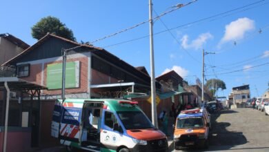 Prefeitura de BH oferece tratamento gratuito para esporotricose em gatos