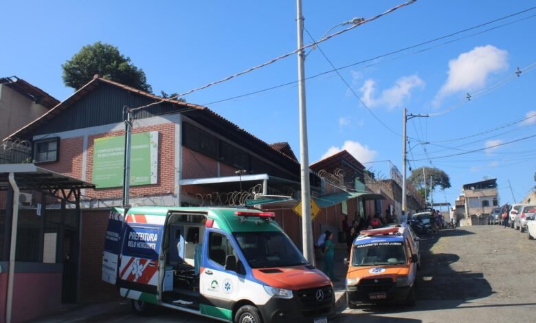 Prefeitura de BH oferece tratamento gratuito para esporotricose em gatos