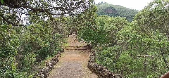 Trilha do Cerrado celebra o dia do bioma no Parque das Mangabeiras