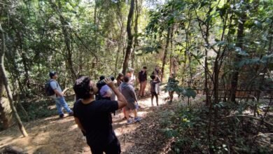 Trilha no Parque Aggeo Pio é um convite a cuidar do corpo e da mente