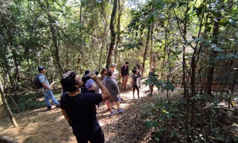 Trilha no Parque Aggeo Pio é um convite a cuidar do corpo e da mente
