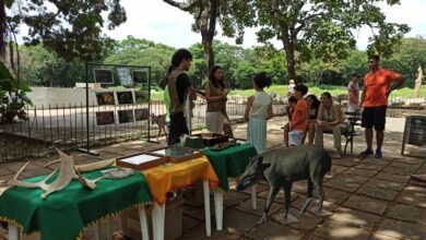 Zoológico promove a conscientização ambiental neste mês de setembro