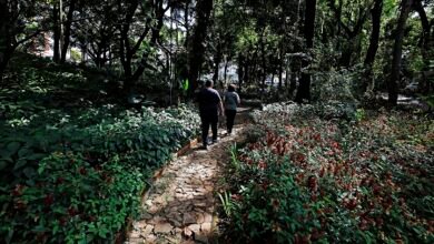 Após revitalização, Trilha da Borboletas é reaberta ao público no Parque Municipal