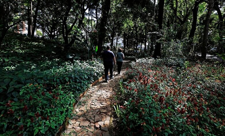 Após revitalização, Trilha da Borboletas é reaberta ao público no Parque Municipal