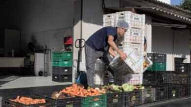 Banco de Alimentos já destinou mais de 278 mil quilos de doações neste ano