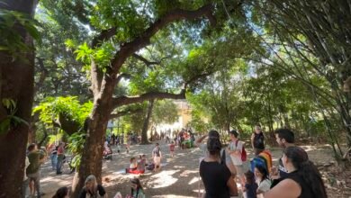 CEA Propam e Ecoteca celebram a semana da criança