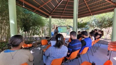 Centro de Agroecologia da PBH recebe a segunda etapa da oficina de compostagem