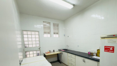 Centro de Esterilização de Cães e Gatos do Barreiro passa a funcionar em novo endereço