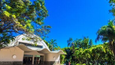 Espetáculo de comédia de Paulo Vita Show chega ao Teatro Francisco Nunes