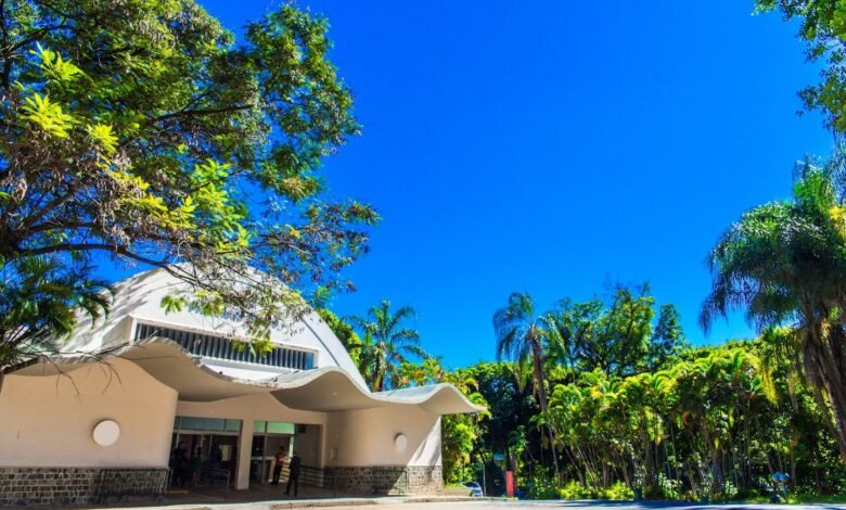 Espetáculo de comédia de Paulo Vita Show chega ao Teatro Francisco Nunes