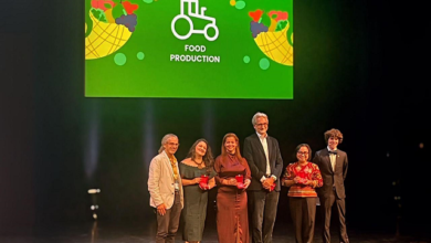 Iniciativa da PBH para produção de alimentos é reconhecida internacionalmente