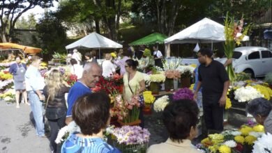 Inscrições para a venda de flores no Dia de Finados serão nesta terça (28) e quarta-feira (29)