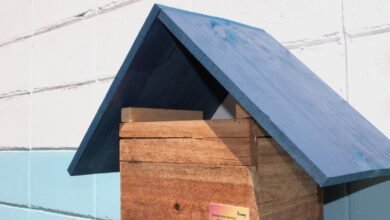 PBH inaugura o 11º meliponário em estrutura da Guarda Municipal