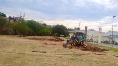 Prefeitura de BH inicia plantio para produção de fitoterápicos do Farmácia Viva