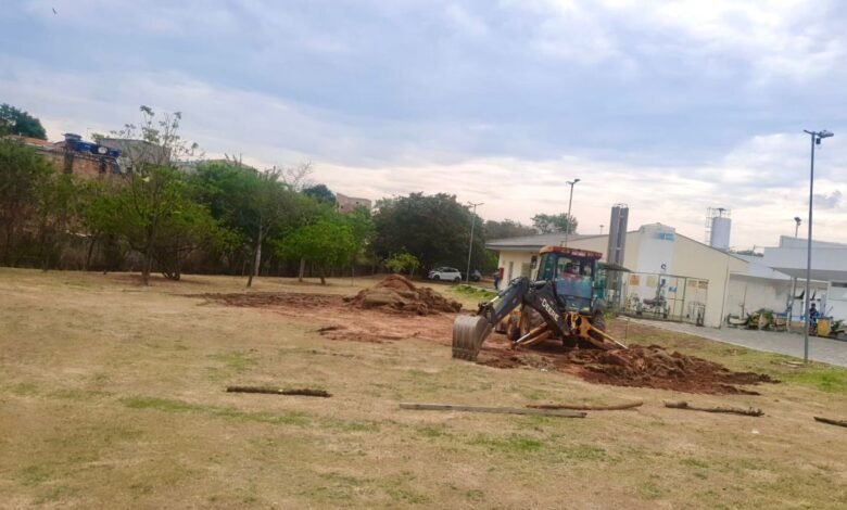 Prefeitura de BH inicia plantio para produção de fitoterápicos do Farmácia Viva