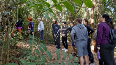 Programação de novembro das trilhas guiadas nos parques começa neste sábado (1º)