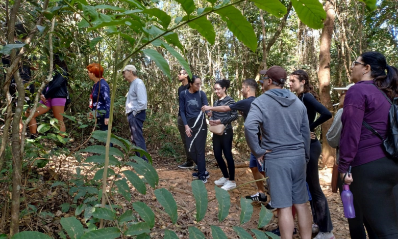 Programação de novembro das trilhas guiadas nos parques começa neste sábado (1º)