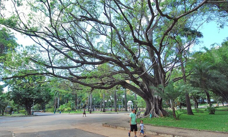 Reciclagem de resíduos é tema de evento da Semana Lixo Zero no Parque Municipal