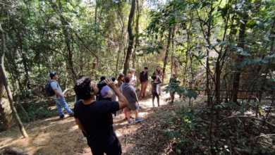 Trilha educativa no Parque do Caiçara é opção de lazer e contato com a natureza