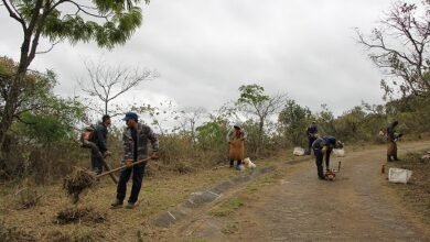 Ações preventivas da PBH reduzem em 77% os incêndios em parques municipais