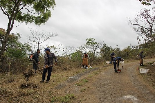Ações preventivas da PBH reduzem em 77% os incêndios em parques municipais