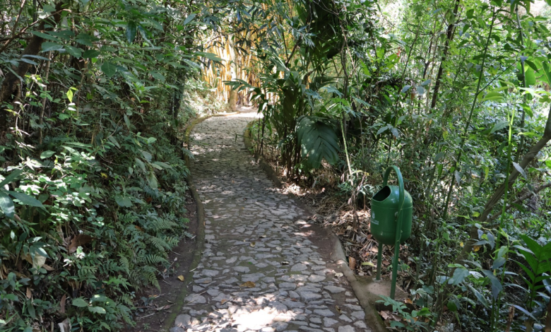 Áreas de visitação no Parque da Mata das Borboletas são ampliadas