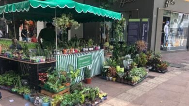 Feira do Sagrada Família volta a funcionar neste domingo (30) com 40 barracas