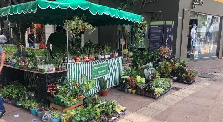 Feira do Sagrada Família volta a funcionar neste domingo (30) com 40 barracas