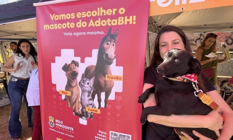 Meio Ambiente da Gente terá adoção de animais na Praça da Assembleia neste sábado (8)