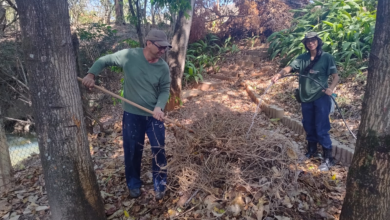 PBH promove oficinas de plantio e manejo em Centros de Vivência Agroecológica