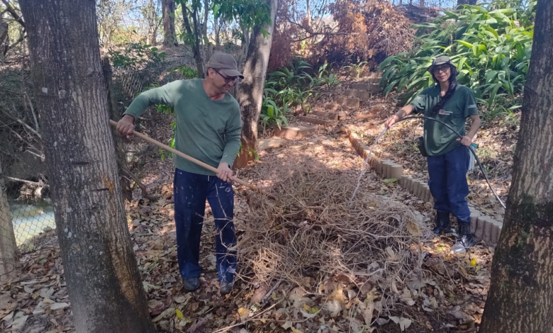 PBH promove oficinas de plantio e manejo em Centros de Vivência Agroecológica