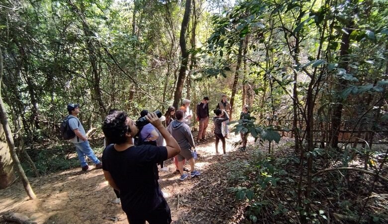 Participantes de trilhas guiadas serão convidados para plantios em dois parques