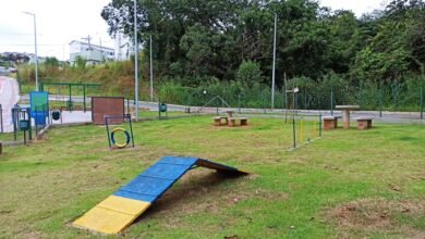 Prefeitura de BH entrega na Praça JK o 11º espaço público para recreação de cães