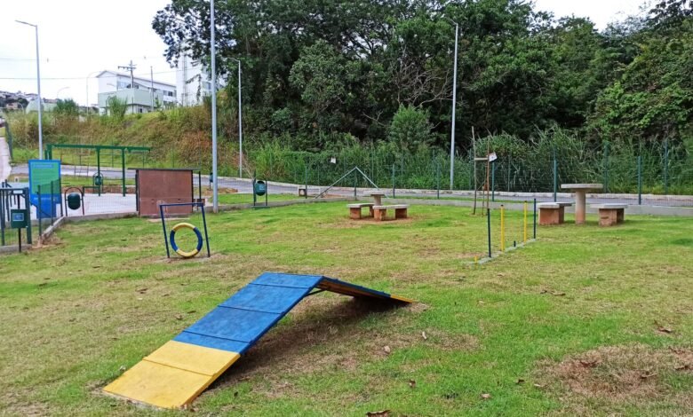 Prefeitura de BH entrega na Praça JK o 11º espaço público para recreação de cães