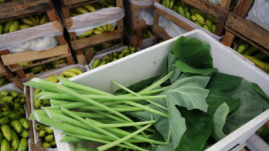 Prefeitura de Belo Horizonte qualifica profissionais na área de manipulação de alimentos