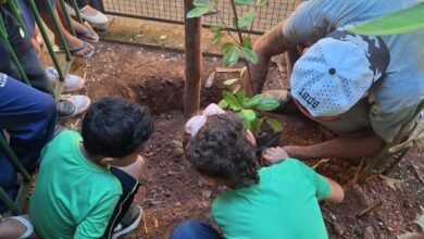 Projeto Escola Verde dá continuidade ao plantio de mudas em unidades de educação infantil