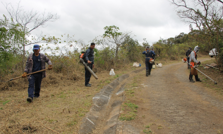 Seminário sobre manejo do fogo nesta sexta-feira (28) tem inscrições gratuitas