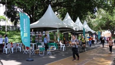 Última edição do Projeto Ambientar será realizada no Parque das Mangabeiras
