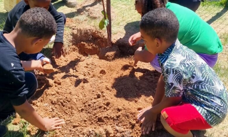Unidades de educação infantil recebem plantios de mudas da Escola Verde