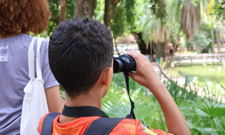 Observação de aves encerra calendário anual em parque do Barreiro