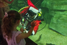 Papai Noel vai mergulhar no Aquário do Rio São Francisco neste domingo (14)