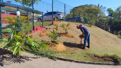 Projeto Bosques e Jardins já criou espaços verdes em cinco escolas municipais