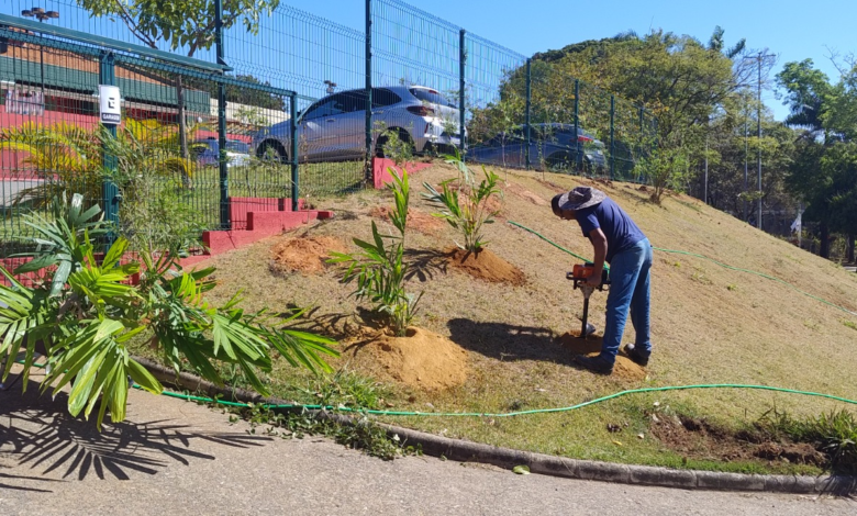 Projeto Bosques e Jardins já criou espaços verdes em cinco escolas municipais