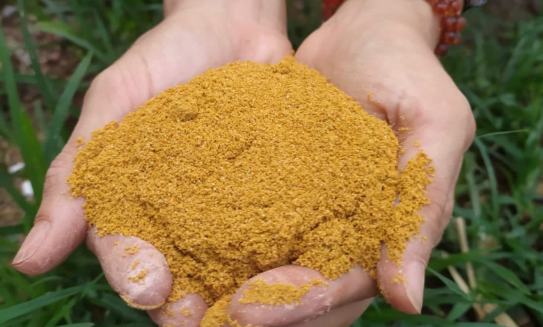 Santa Tereza terá oficina gratuita de tintura natural com apoio da PBH